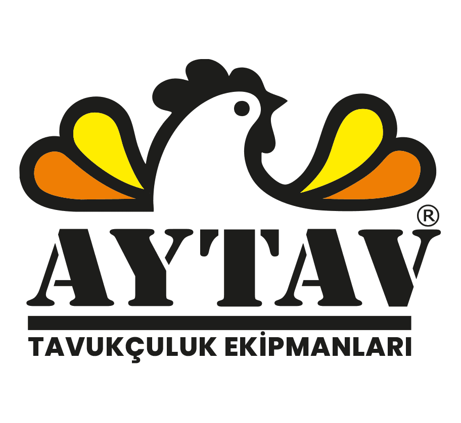 AYTAV