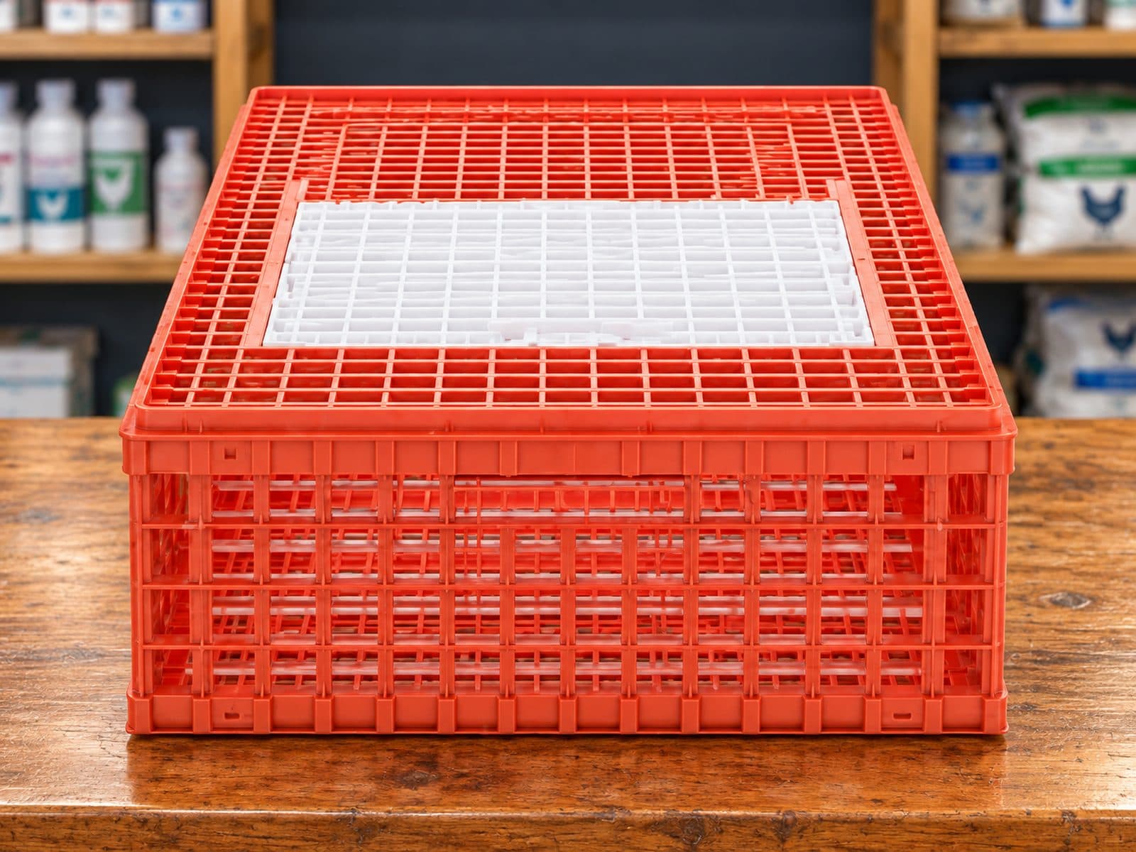 Cage de transport pour poulet Arion Fasoli
