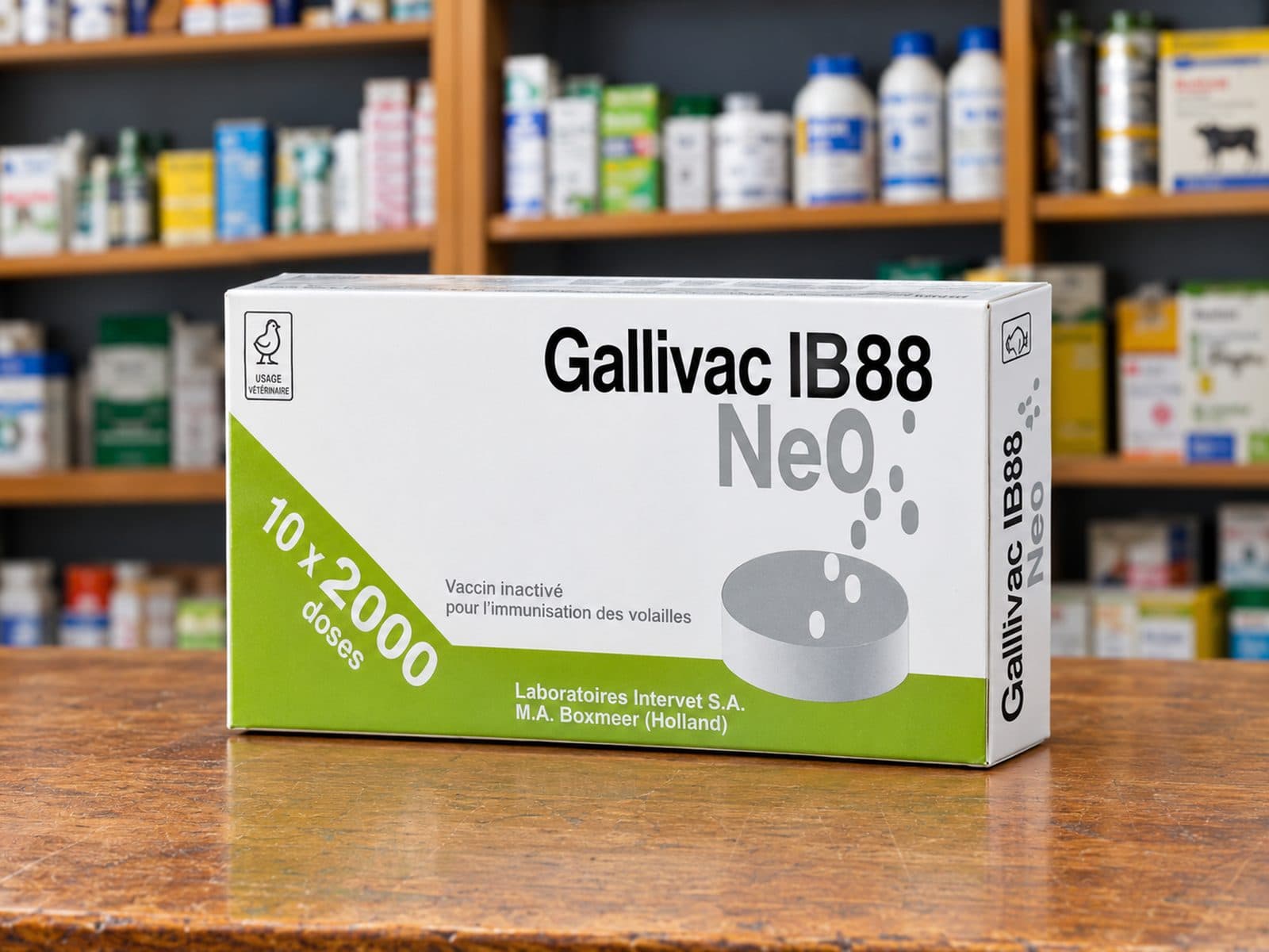 Gallivac IB88 Neo