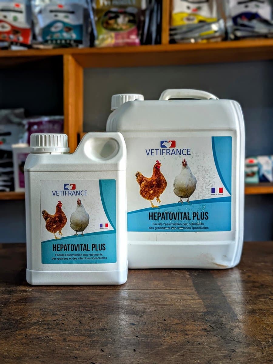 Hepato Vital
