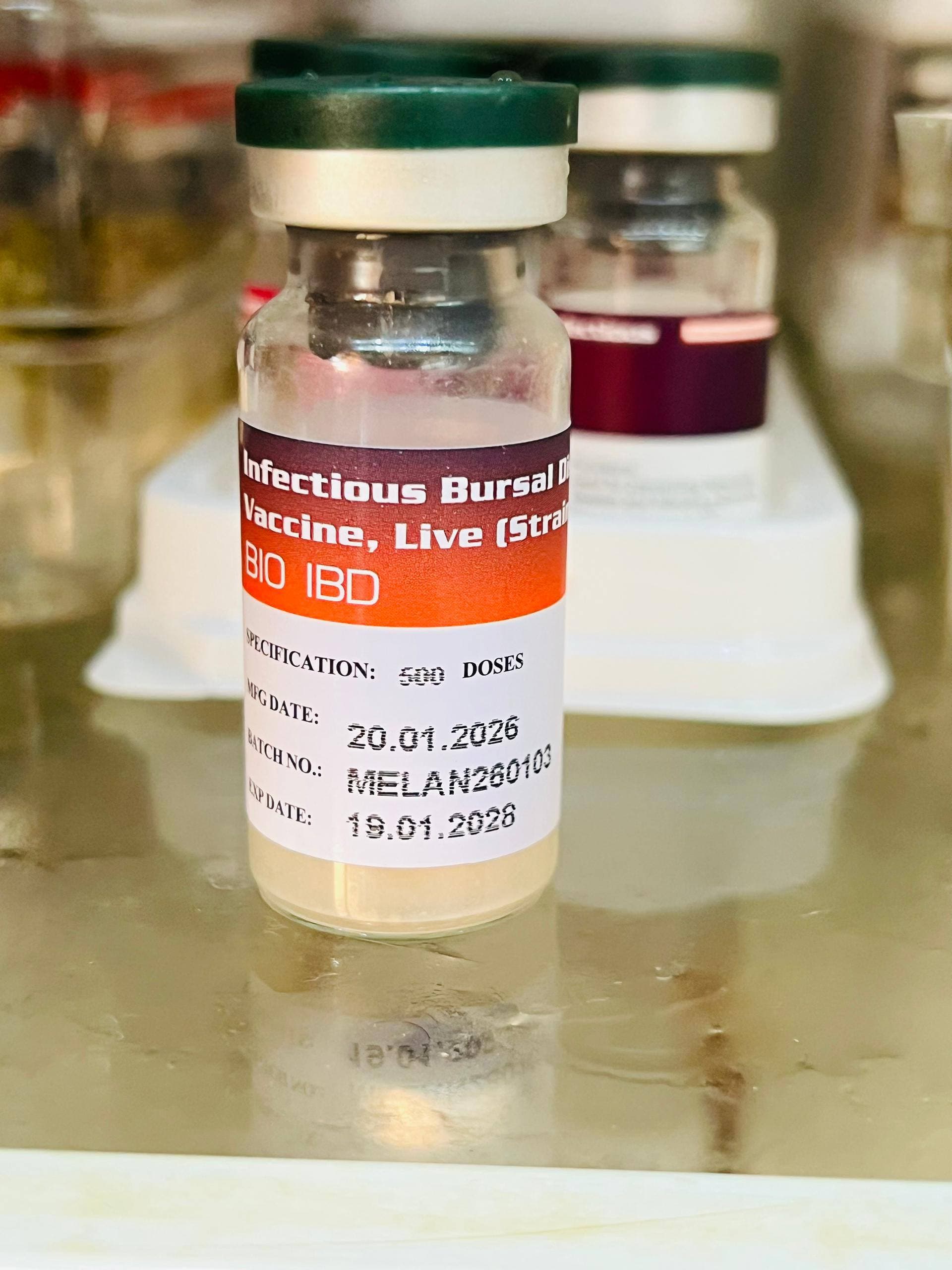 BIO IBD
