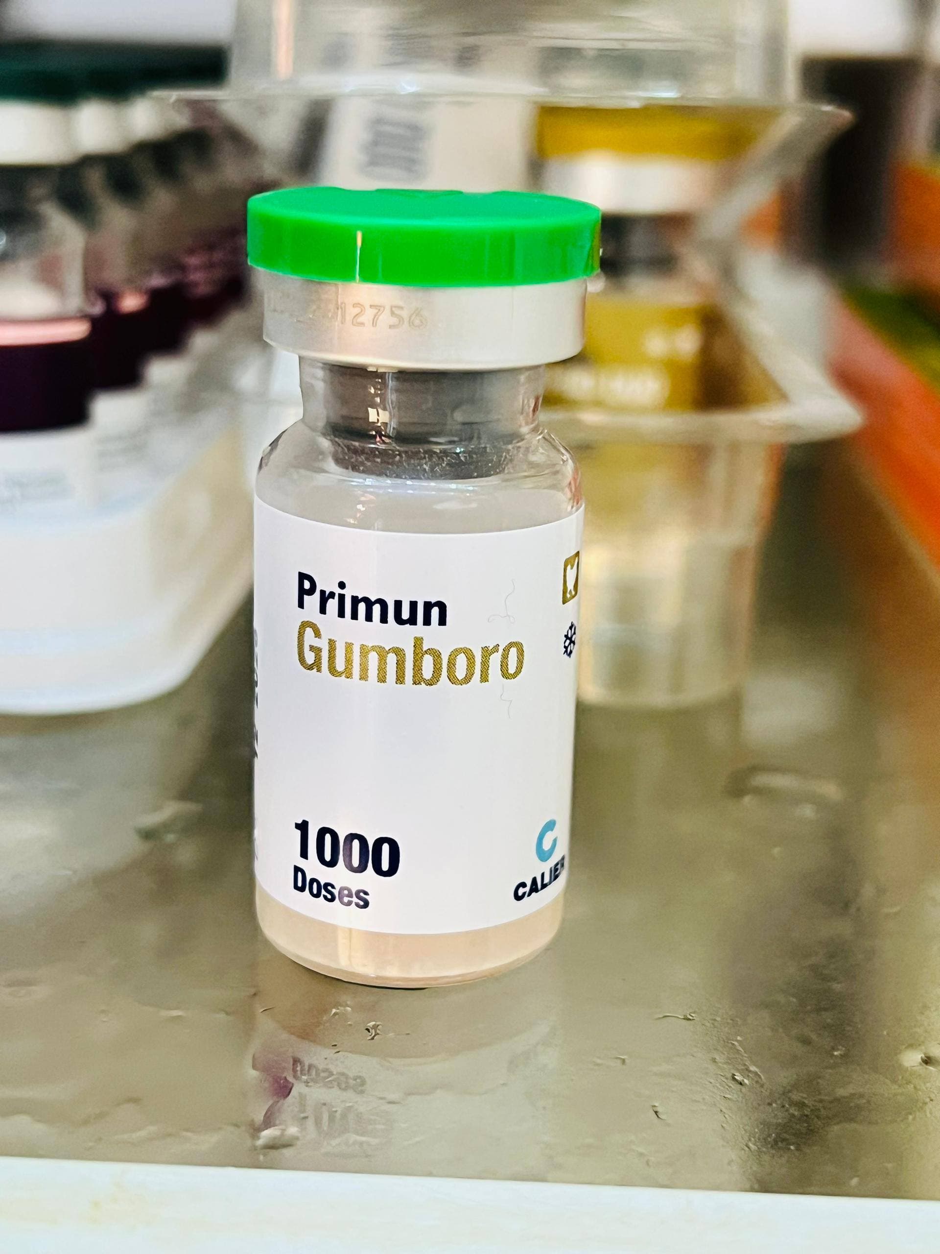 Primun Gumboro