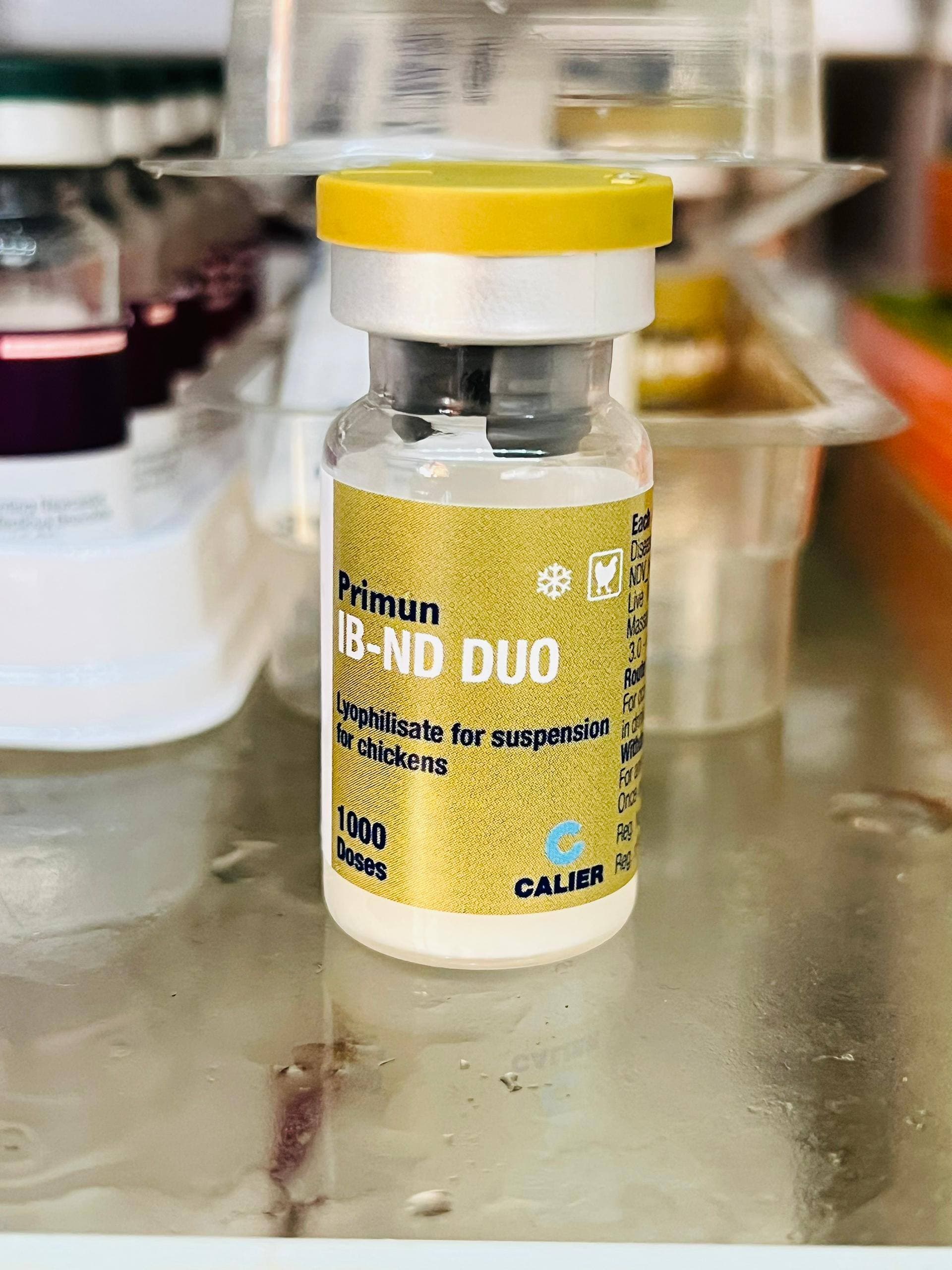 Primun IB-ND DUO